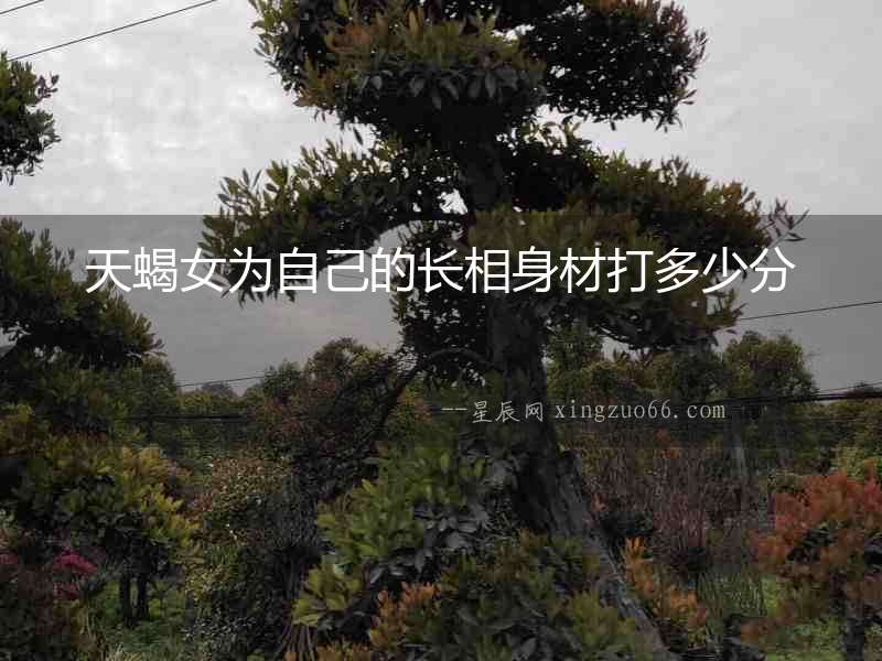 天蝎女為自己的長相身材打多少分