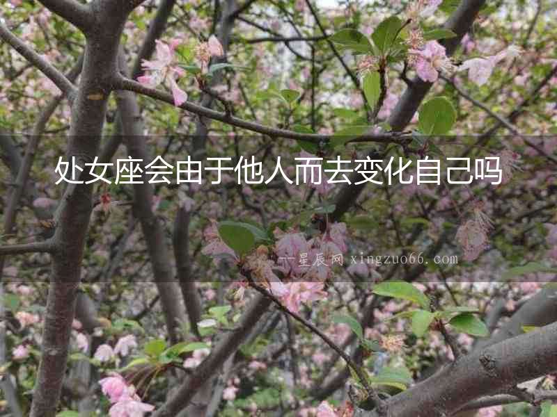 處女座會由于他人而去變化自己嗎