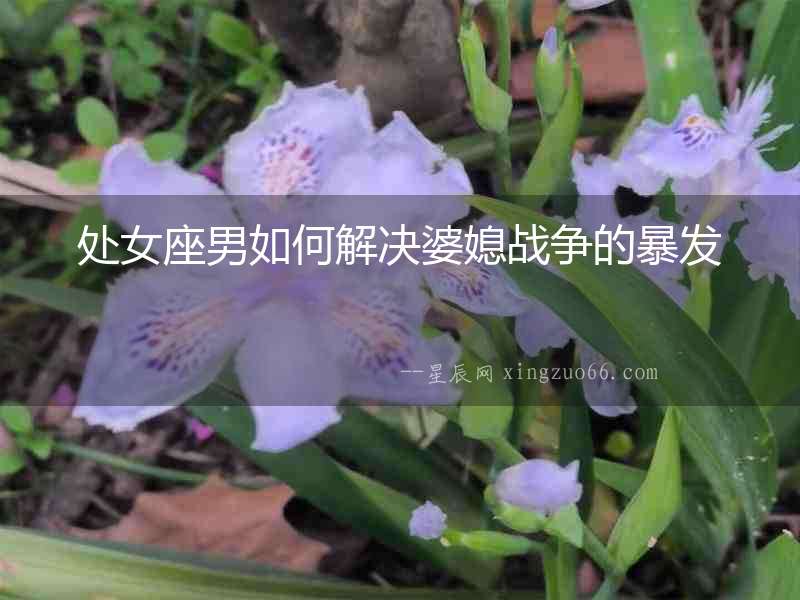 處女座男如何解決婆媳戰(zhàn)爭的暴發(fā)