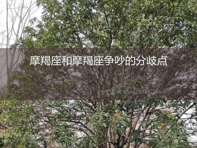 摩羯座和摩羯座爭吵的分歧點