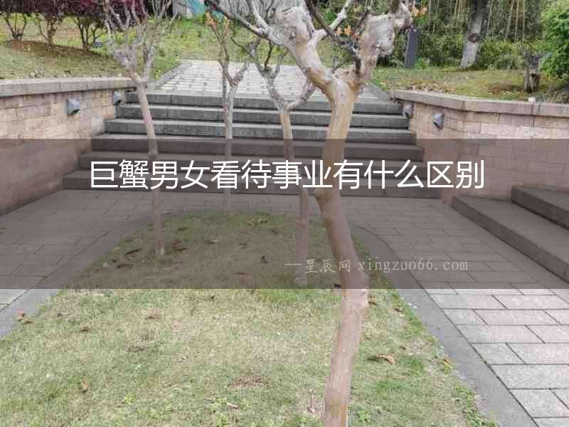 巨蟹男女看待事業有什么區別