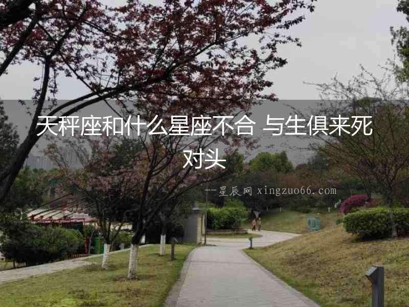 天秤座和什么星座不合 與生俱來死對(duì)頭