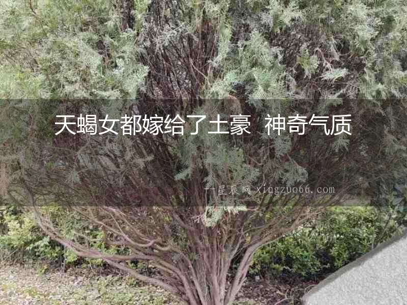 天蝎女都嫁給了土豪  神奇氣質