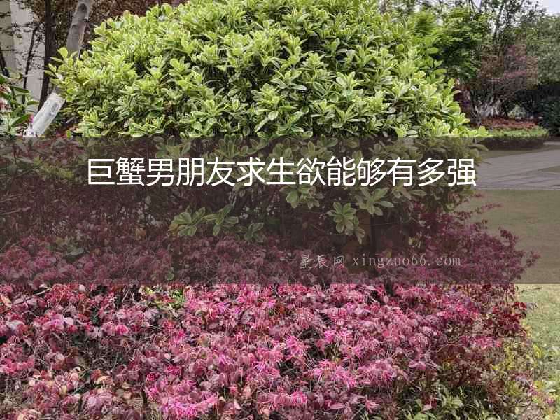 巨蟹男朋友求生欲能夠有多強(qiáng)