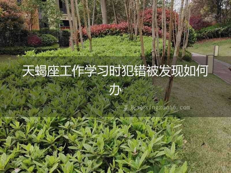 天蝎座工作學習時犯錯被發現如何辦