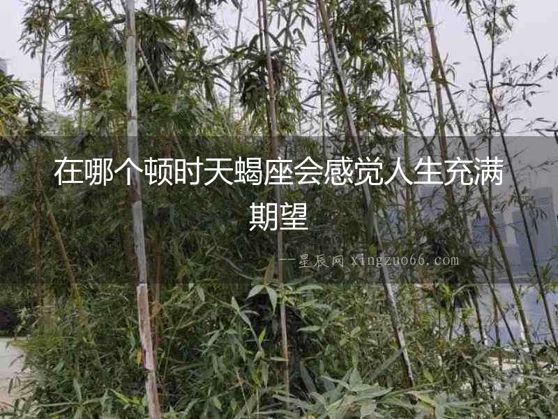 在哪個(gè)頓時(shí)天蝎座會(huì)感覺人生充滿期望