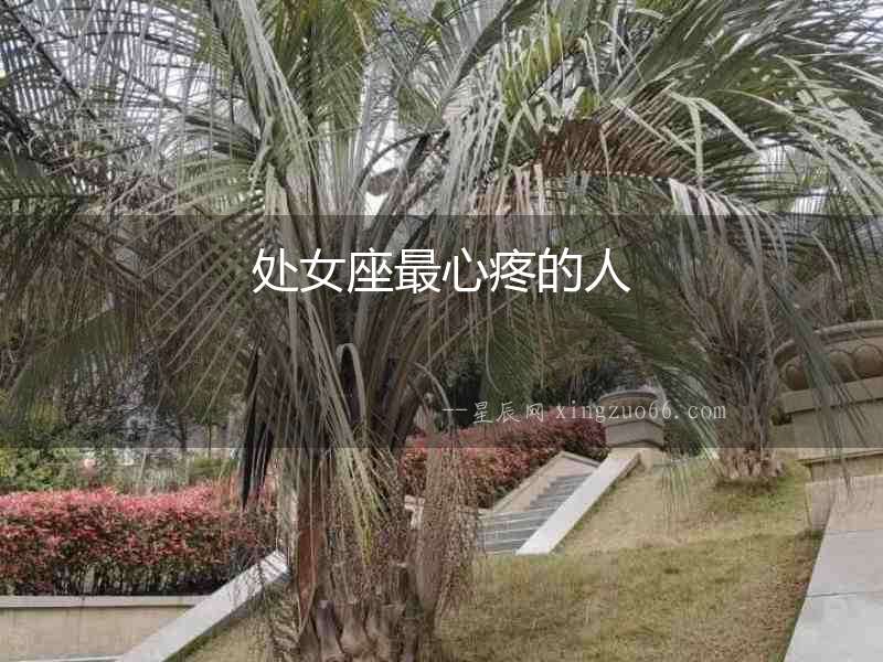 處女座最心疼的人