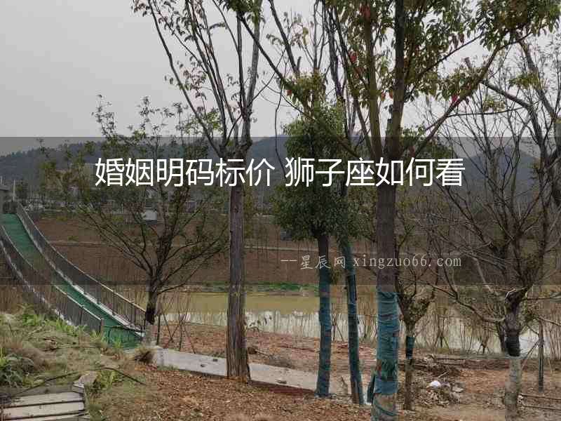 婚姻明碼標(biāo)價(jià) 獅子座如何看