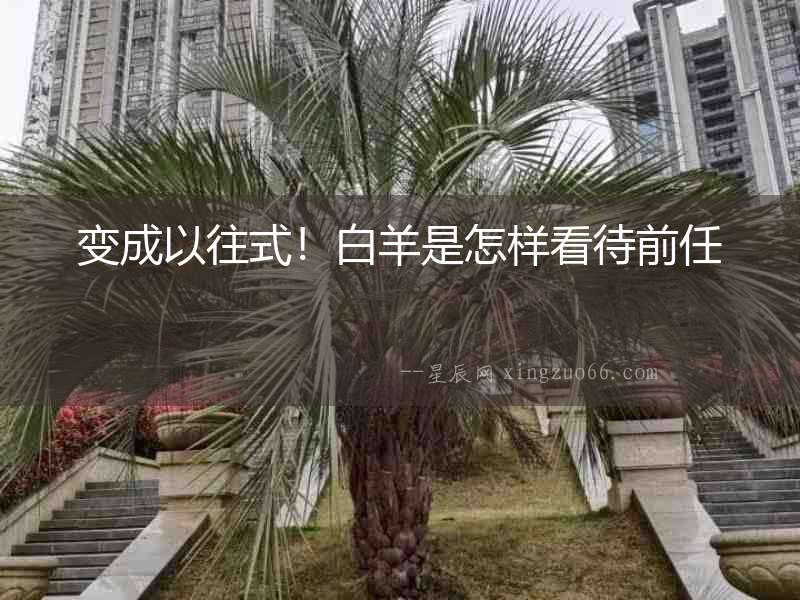 變成以往式！白羊是怎樣看待前任