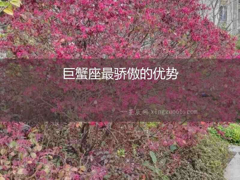 巨蟹座最驕傲的優勢