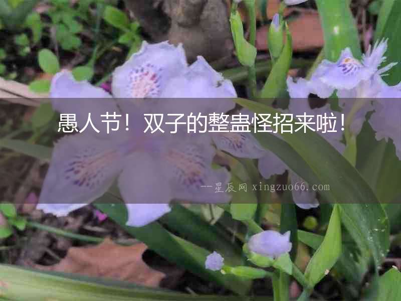 愚人節！雙子的整蠱怪招來啦！