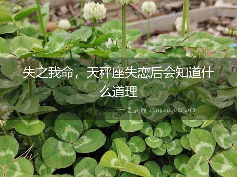 失之我命，天秤座失戀后會知道什么道理
