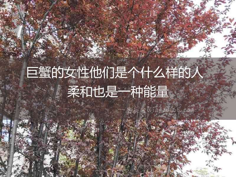 巨蟹的女性他們是個(gè)什么樣的人  柔和也是一種能量