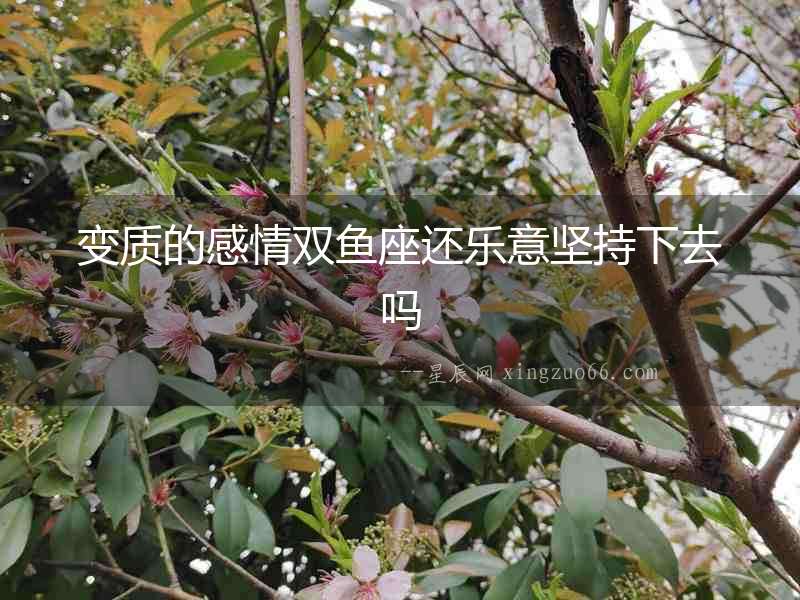 變質(zhì)的感情雙魚座還樂(lè)意堅(jiān)持下去嗎