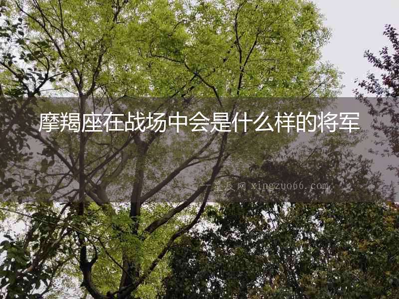 摩羯座在戰(zhàn)場(chǎng)中會(huì)是什么樣的將軍