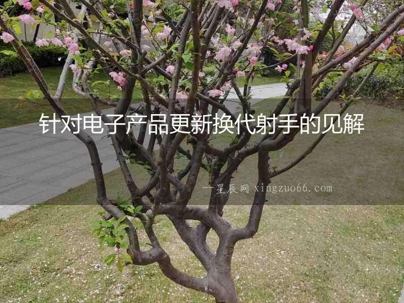 針對電子產品更新換代射手的見解