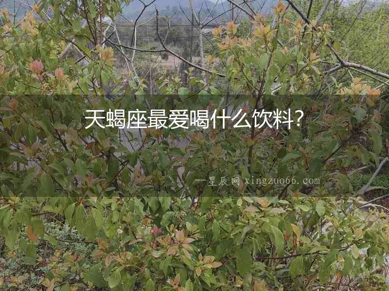 天蝎座最愛喝什么飲料？