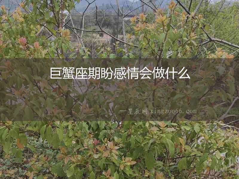 巨蟹座期盼感情會(huì)做什么