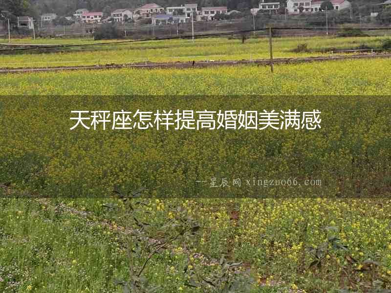 天秤座怎樣提高婚姻美滿感