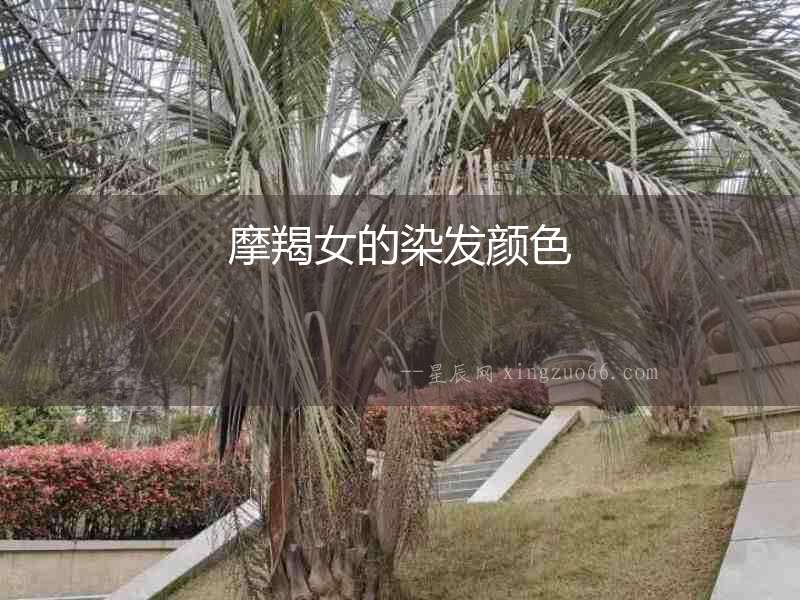 摩羯女的染發顏色