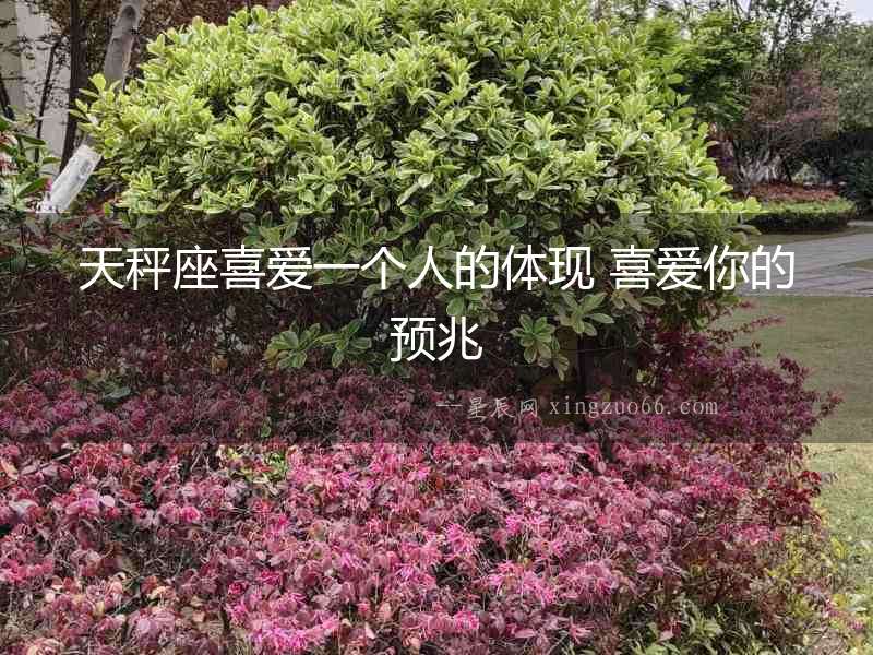 天秤座喜愛一個人的體現 喜愛你的預兆