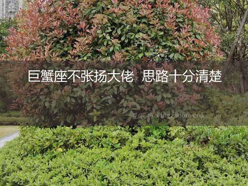 巨蟹座不張揚(yáng)大佬  思路十分清楚