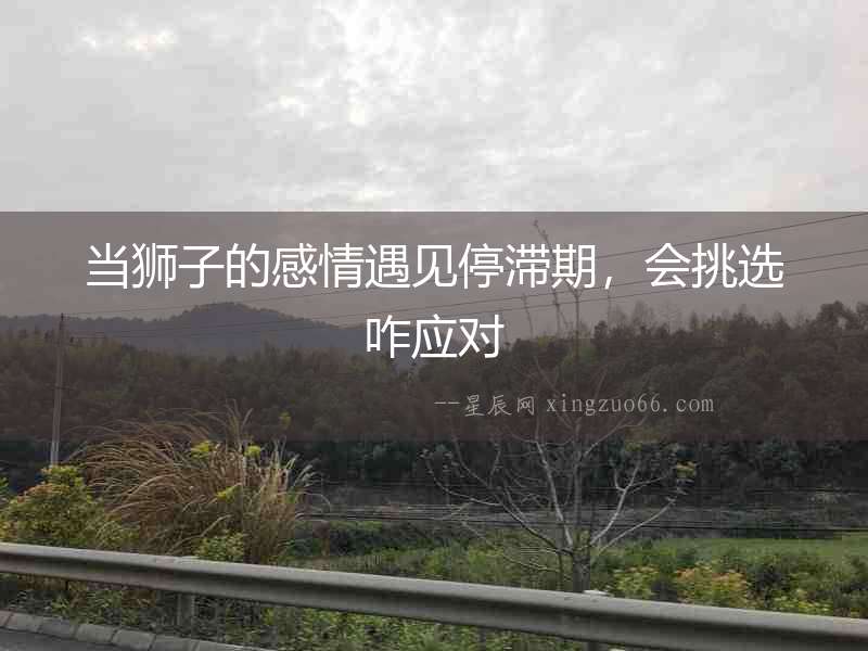 當(dāng)獅子的感情遇見停滯期，會(huì)挑選咋應(yīng)對(duì)