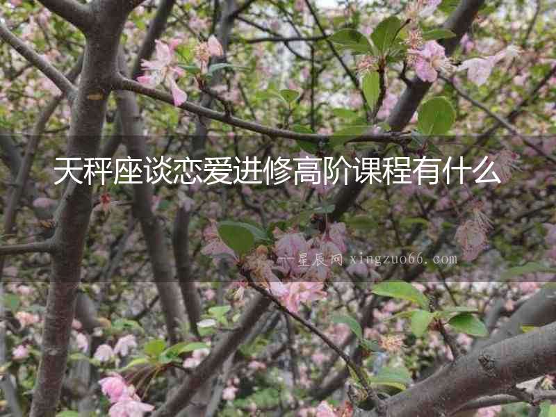 天秤座談戀愛進修高階課程有什么