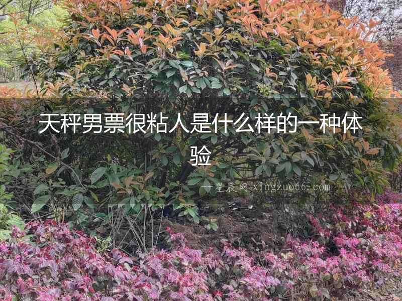 天秤男票很粘人是什么樣的一種體驗