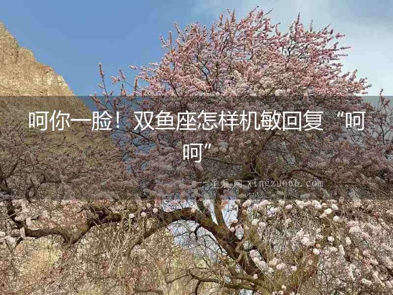 呵你一臉！雙魚座怎樣機敏回復“呵呵”