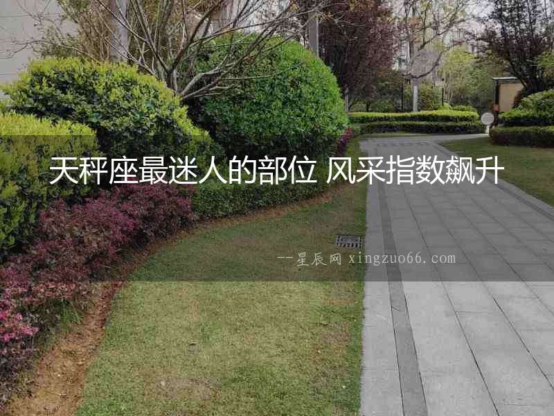 天秤座最迷人的部位 風(fēng)采指數(shù)飆升