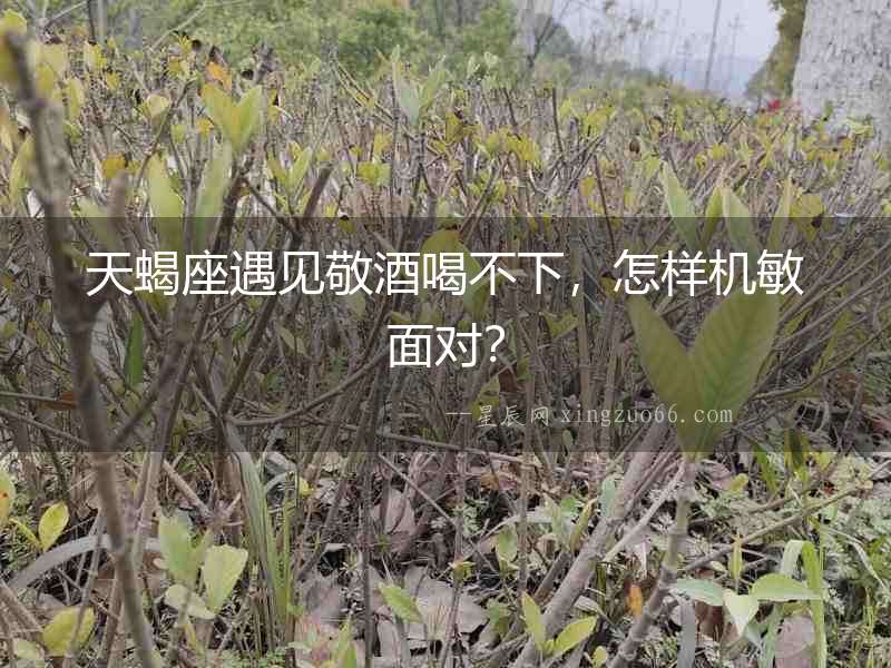 天蝎座遇見敬酒喝不下，怎樣機敏面對？