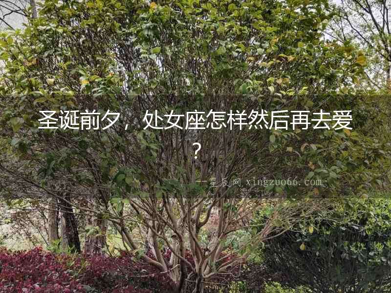 圣誕前夕，處女座怎樣然后再去愛？