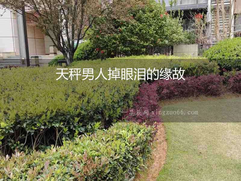 天秤男人掉眼淚的緣故