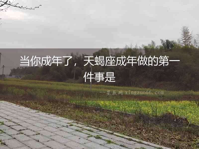 當你成年了，天蝎座成年做的第一件事是