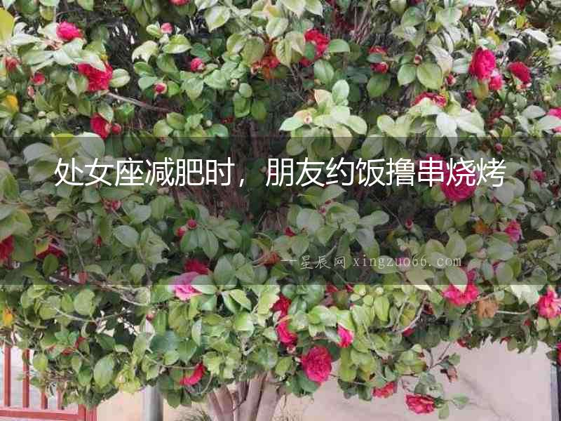 處女座減肥時，朋友約飯擼串燒烤
