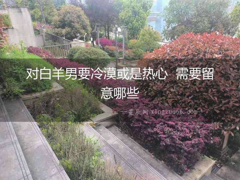對白羊男要冷漠或是熱心  需要留意哪些