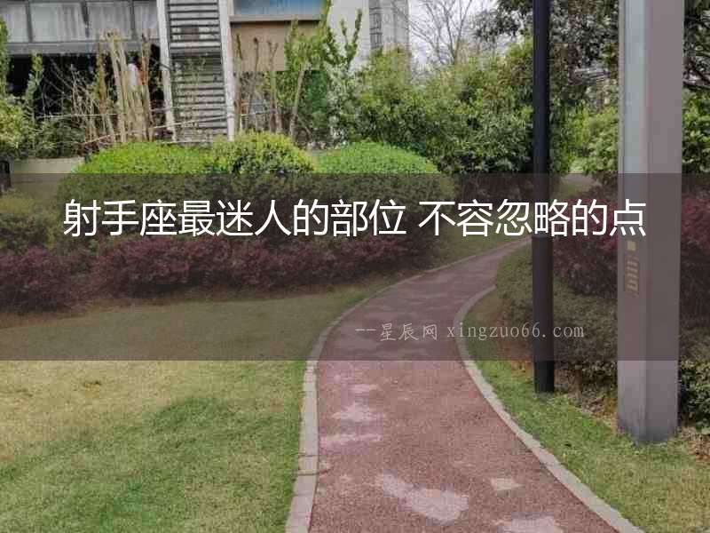 射手座最迷人的部位 不容忽略的點(diǎn)