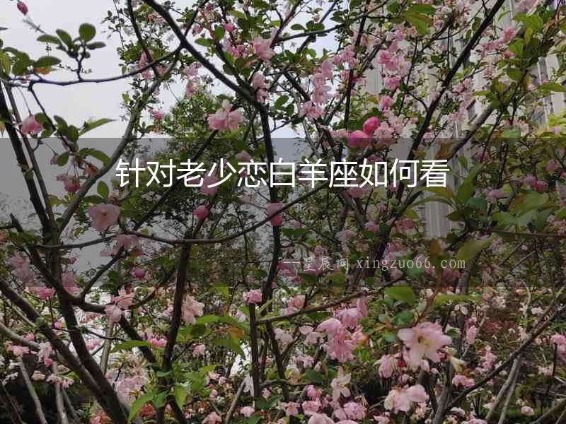 針對老少戀白羊座如何看