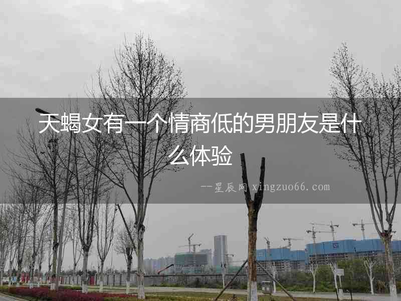 天蝎女有一個(gè)情商低的男朋友是什么體驗(yàn)