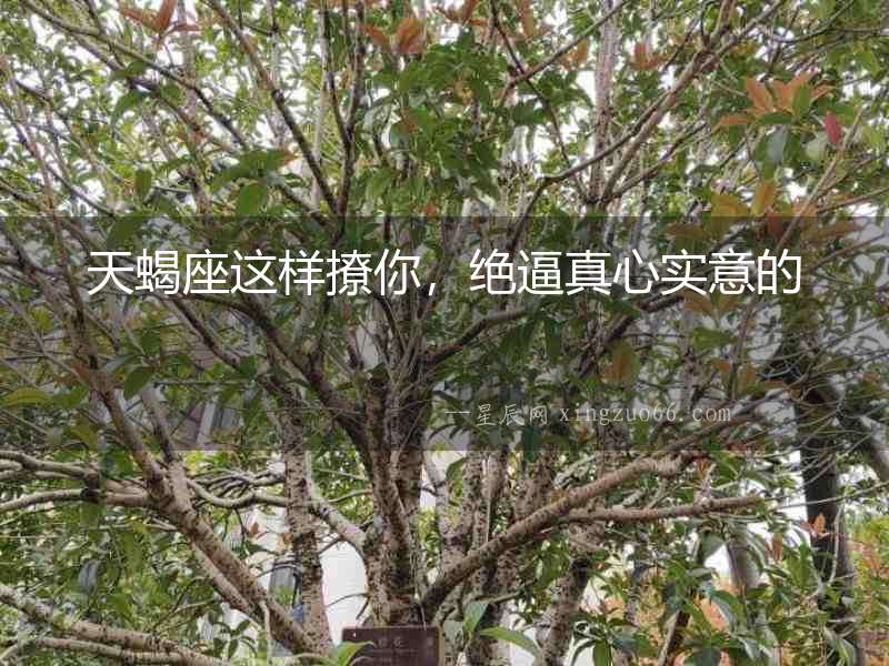 天蝎座這樣撩你，絕逼真心實意的