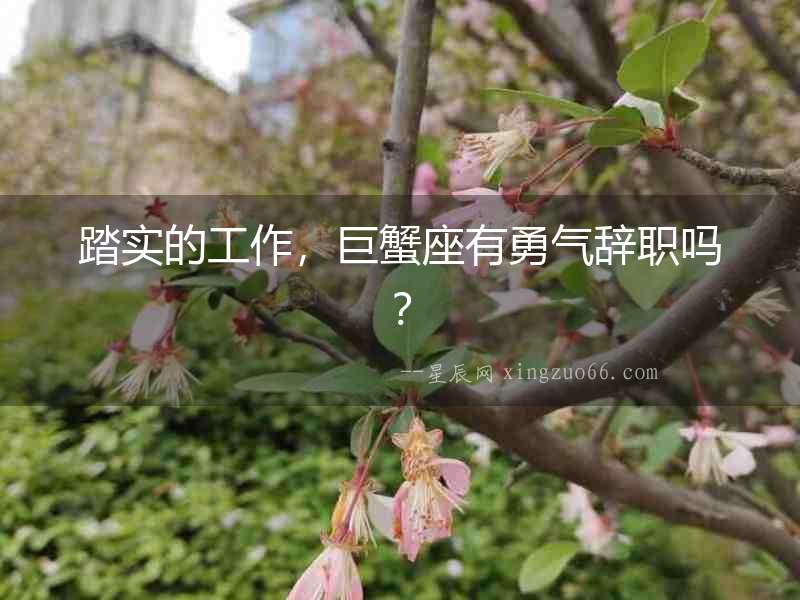 踏實的工作，巨蟹座有勇氣辭職嗎？