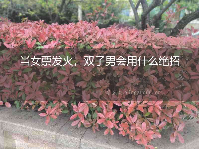 當(dāng)女票發(fā)火，雙子男會(huì)用什么絕招