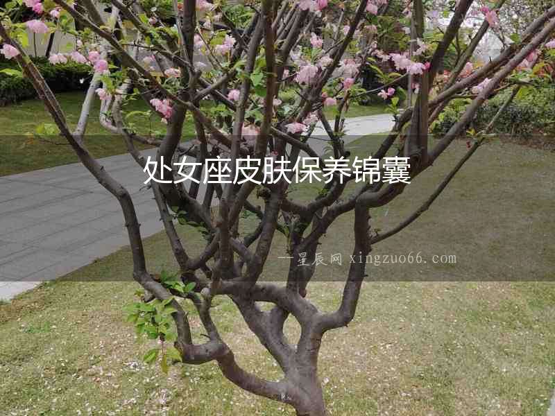 處女座皮膚保養錦囊