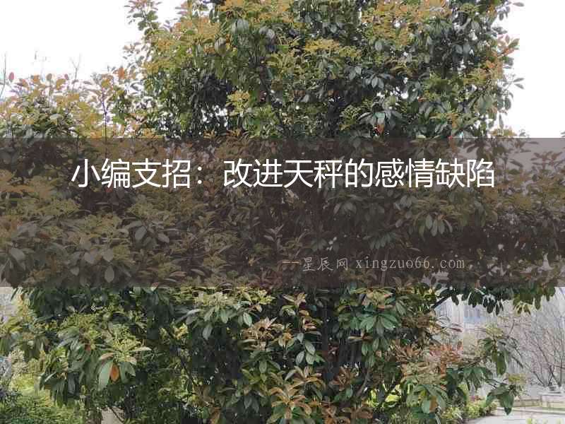 小編支招：改進天秤的感情缺陷