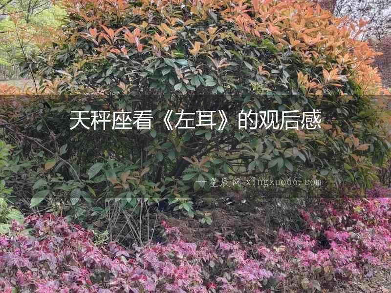 天秤座看《左耳》的觀后感