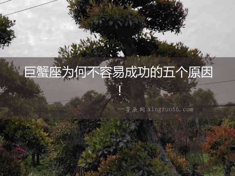 巨蟹座為何不容易成功的五個原因！