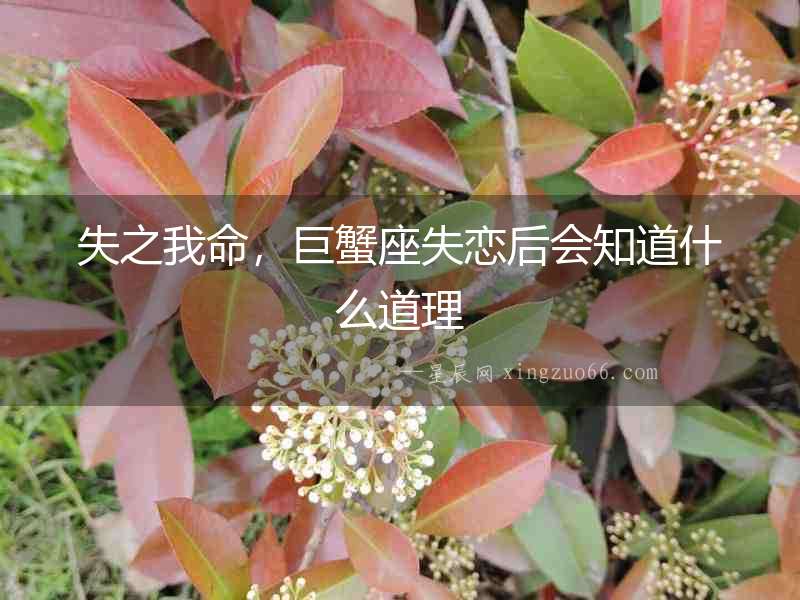 失之我命，巨蟹座失戀后會(huì)知道什么道理