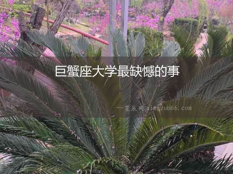 巨蟹座大學(xué)最缺憾的事