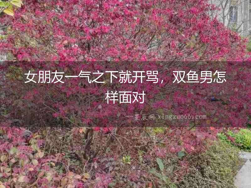 女朋友一氣之下就開罵，雙魚男怎樣面對(duì)